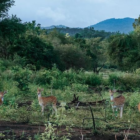 Lakegala Resort Matale Eksteriør bilde